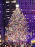 IMG_9812.jpg
