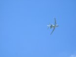 DSCF2747 (grandissime).jpg