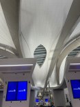 IMG_1632.JPEG