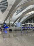 IMG_1633.JPEG