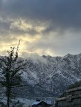 IMG_9313.jpeg