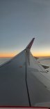 20231130_081356.jpg 20231130_081356.jpg