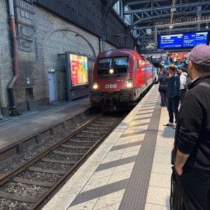 IMG_6451.jpeg