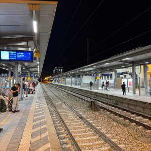 IMG_6142.jpeg