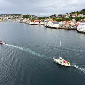 IMG_6318.jpeg