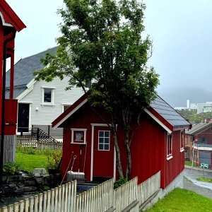 IMG_6284.jpeg