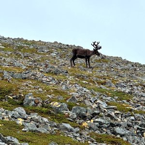 IMG_6276.jpeg