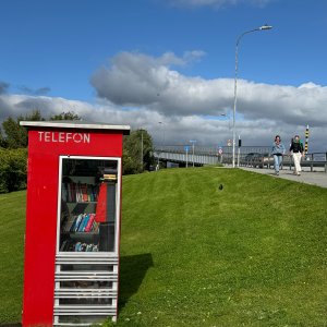 IMG_6252.jpeg