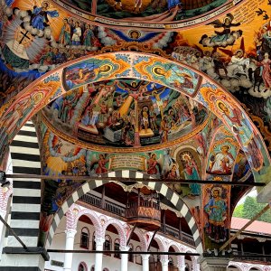 IMG_7391.jpeg