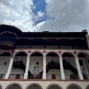 IMG_7394.jpeg