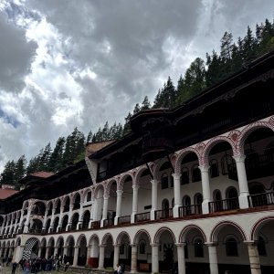 IMG_7403.jpeg