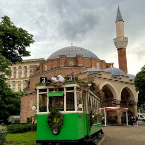 IMG_7424.jpeg