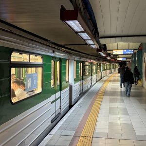 IMG_7436.jpeg