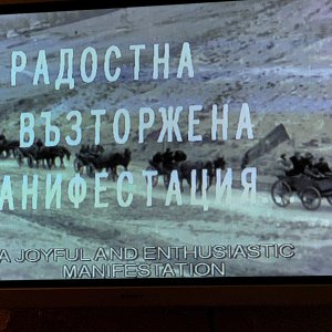 IMG_7444.jpeg