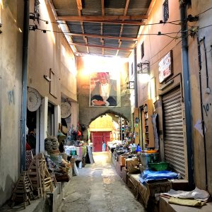 IMG_5510.jpeg