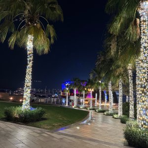 IMG_5895.JPG