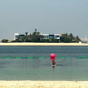 IMG_5978.JPEG