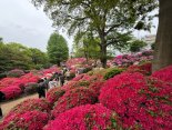 IMG_0275.jpeg
