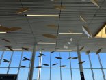 IMG_1064 Large.jpeg