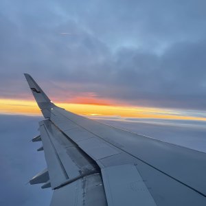 25CBB18C-4509-49CE-98BF-E773295504CC.jpeg