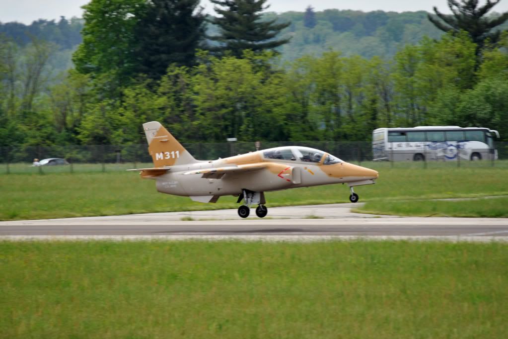 DSC_0198a.jpg