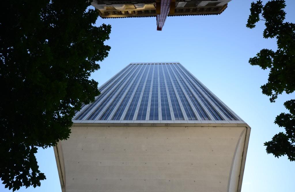 DSC_1669bis.jpg