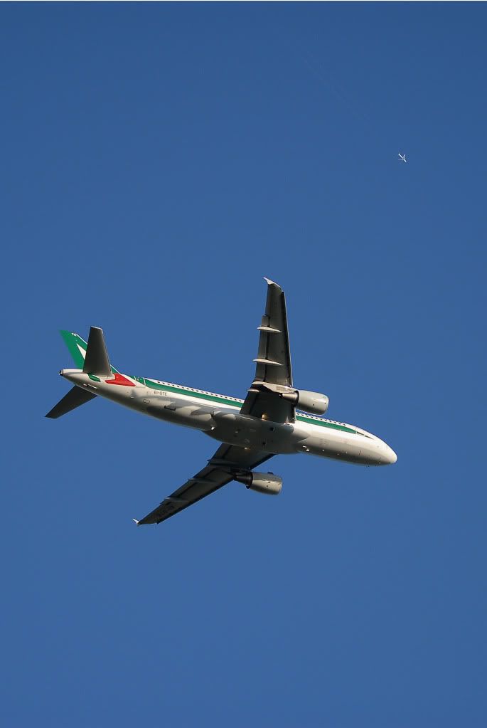 DSC_6994.jpg