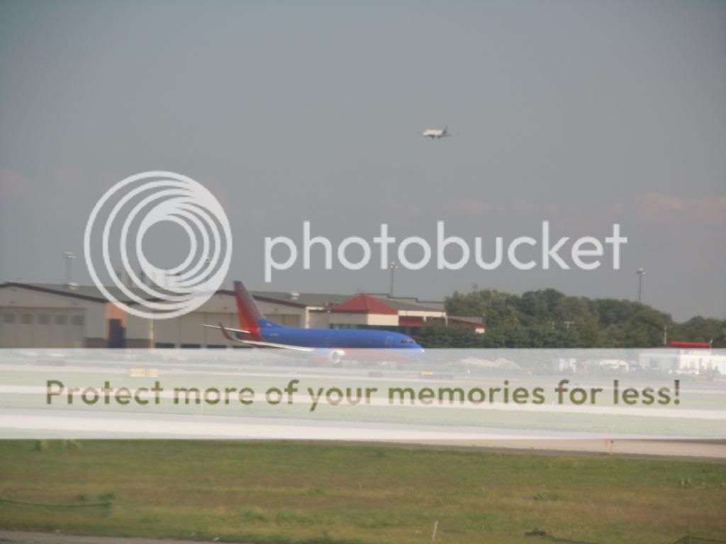 DSCN2236.jpg
