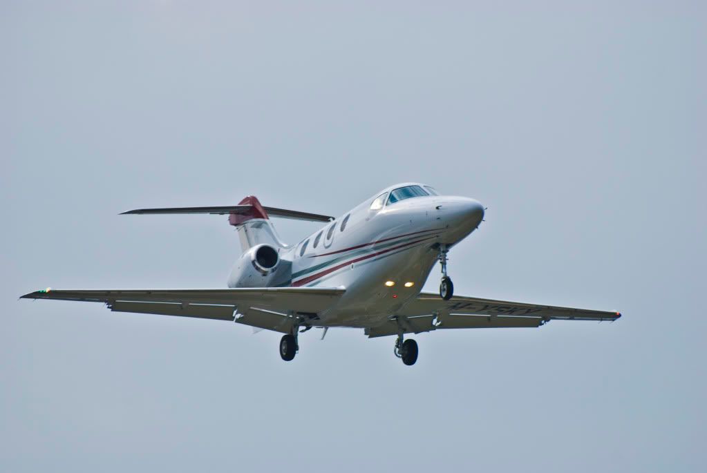DSC_0053-1.jpg