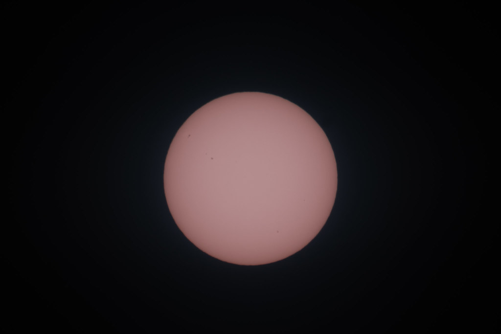 55466309632_2cc66f1939_b.jpg