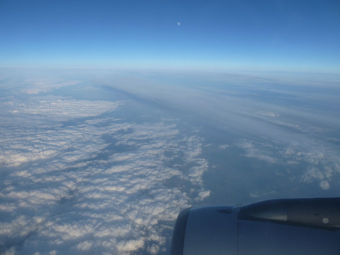 P1020541.jpg