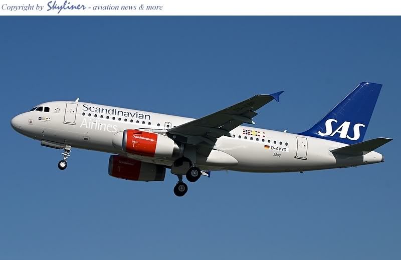SAS.jpg