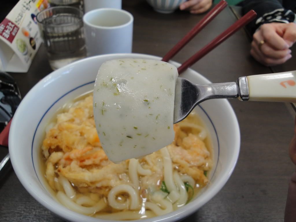 DSC01559.jpg
