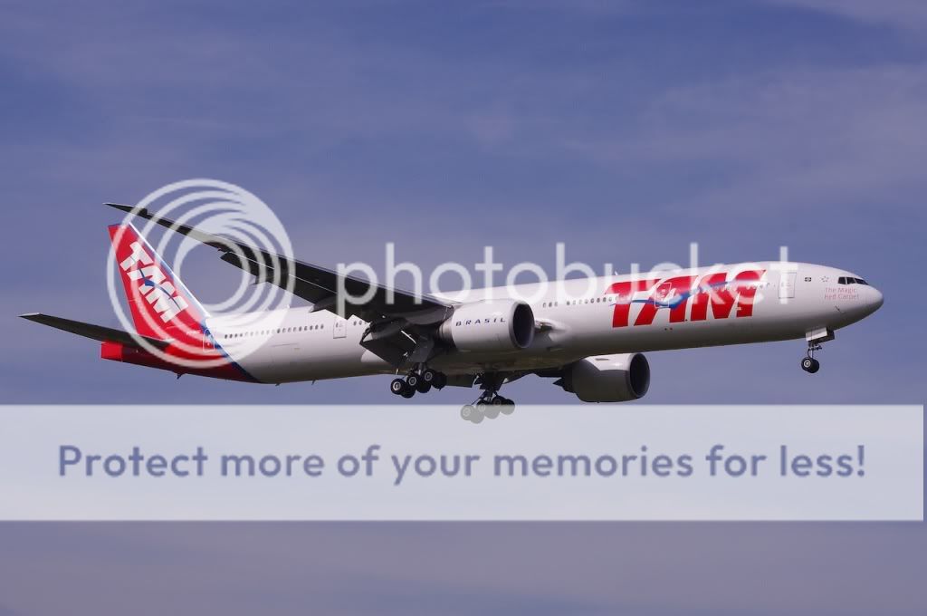IMGP1479.jpg
