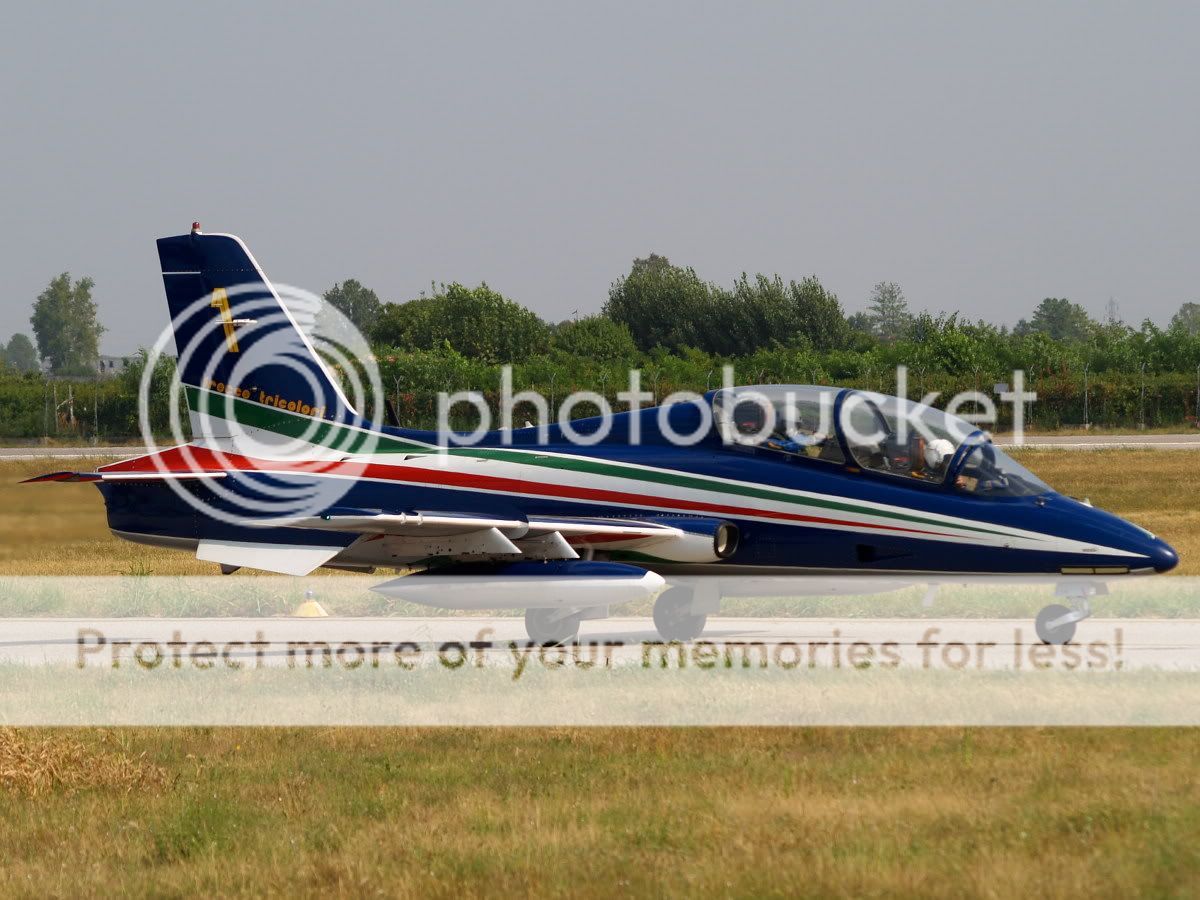 AM069787.jpg