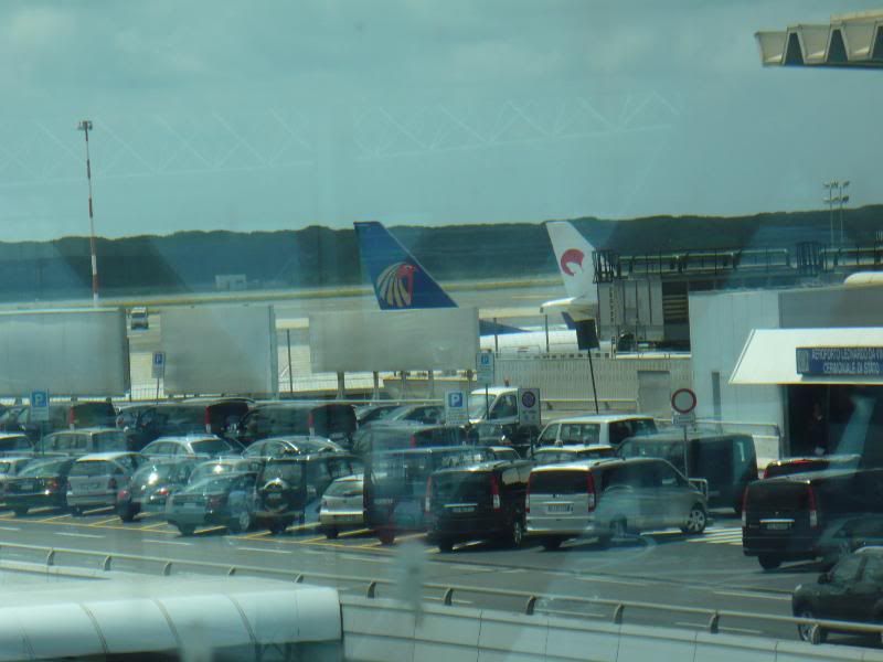 P1000176.jpg