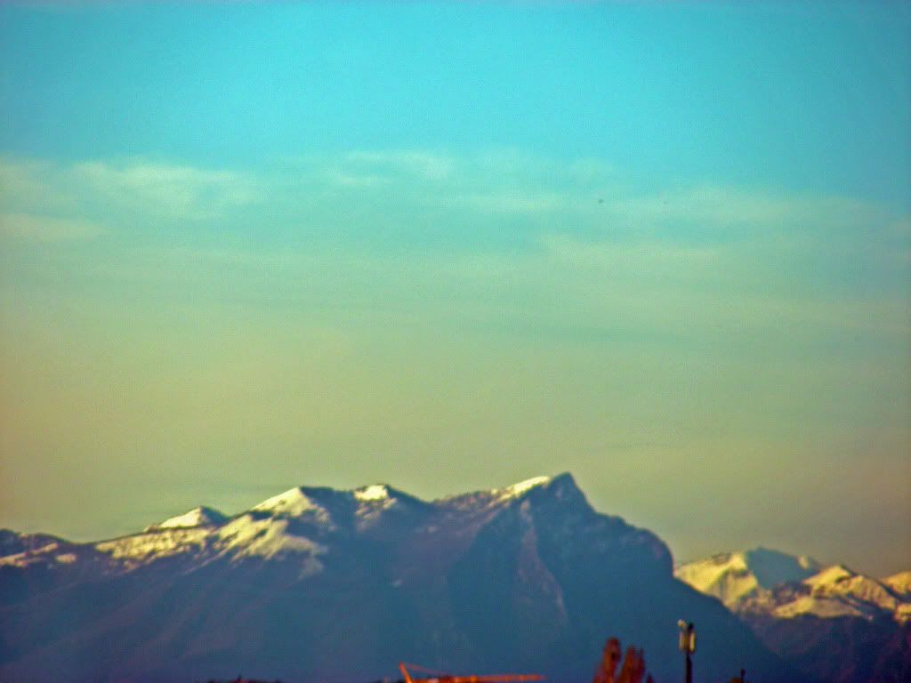 DSCN8652_edited-1.jpg