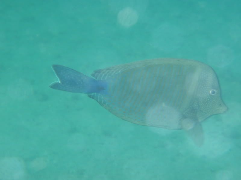P4130477.jpg