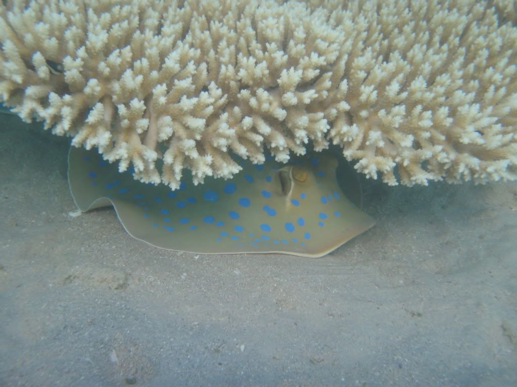 P4020119.jpg
