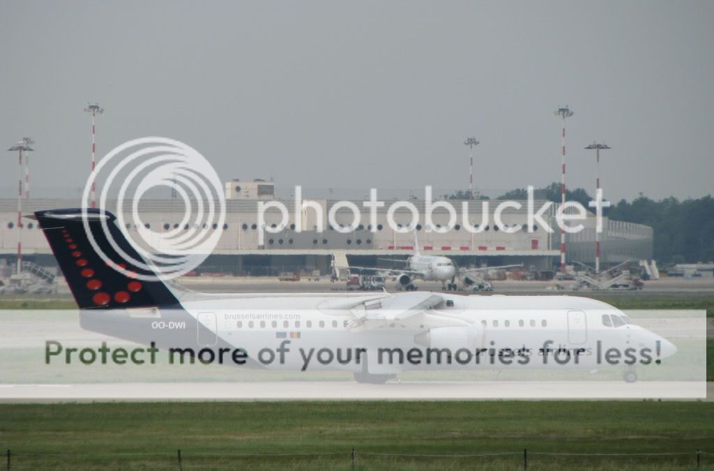 IMG_2290.jpg