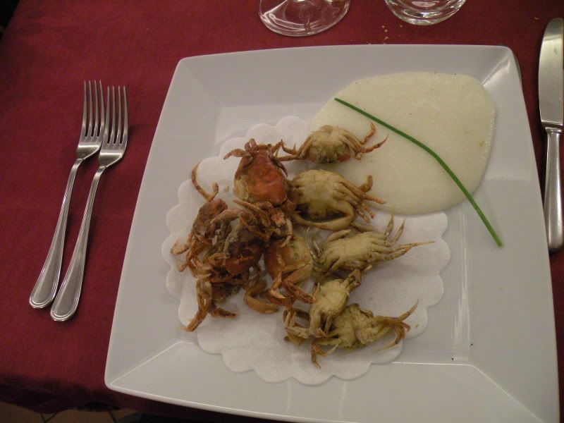 DSCN4608.jpg