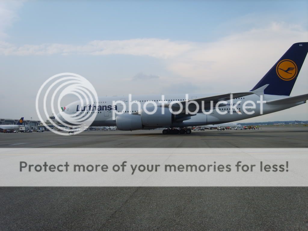 S8300031c.jpg
