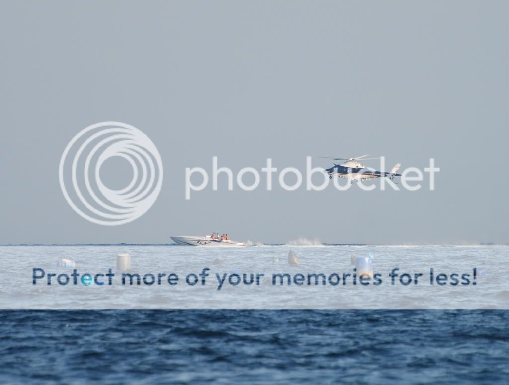 DSC_7915.jpg