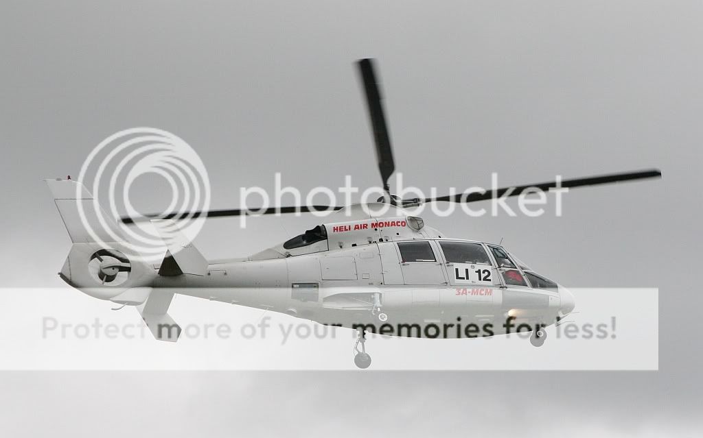 IMG_2232.jpg