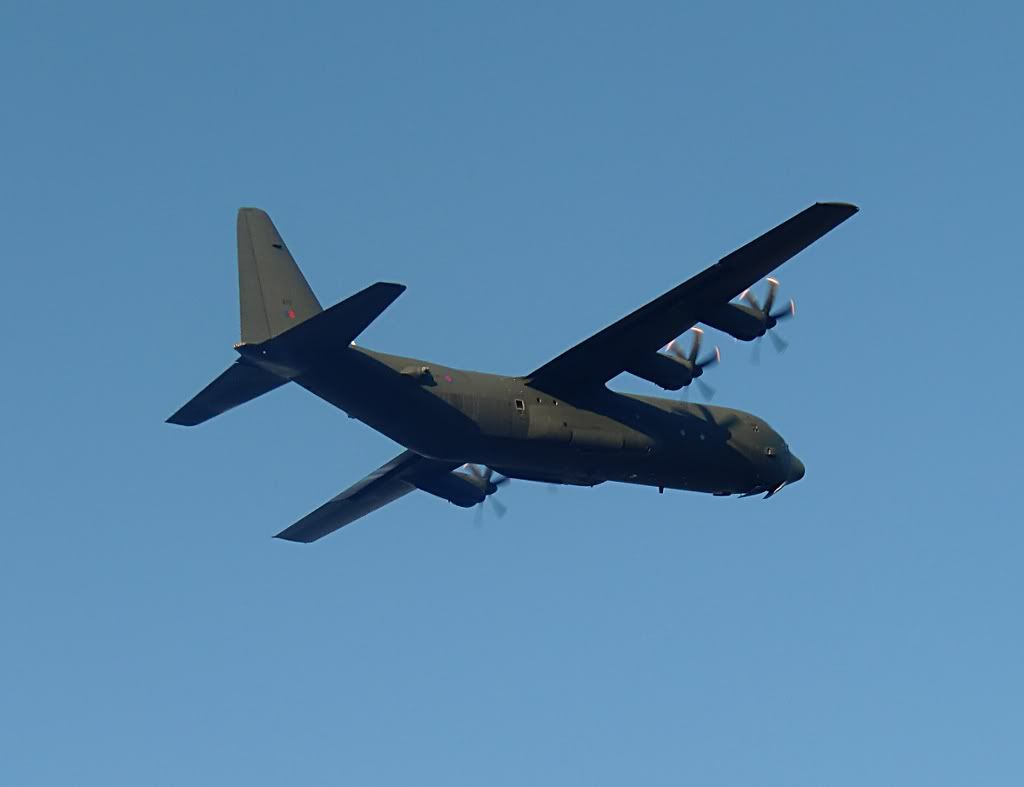 CIMG3975.jpg