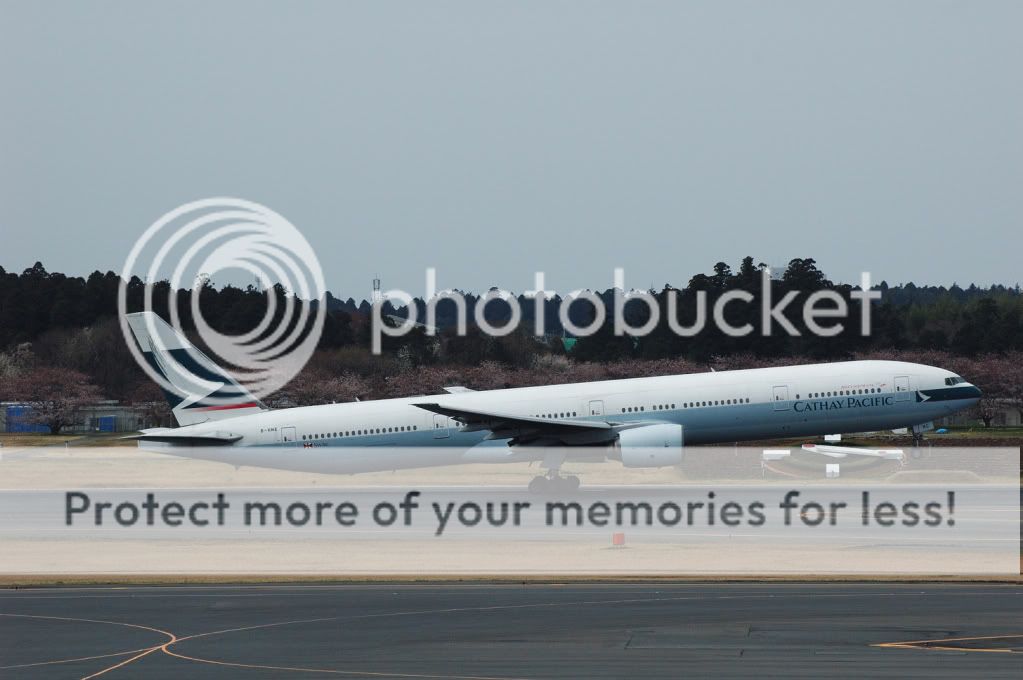 DSC_2664.jpg