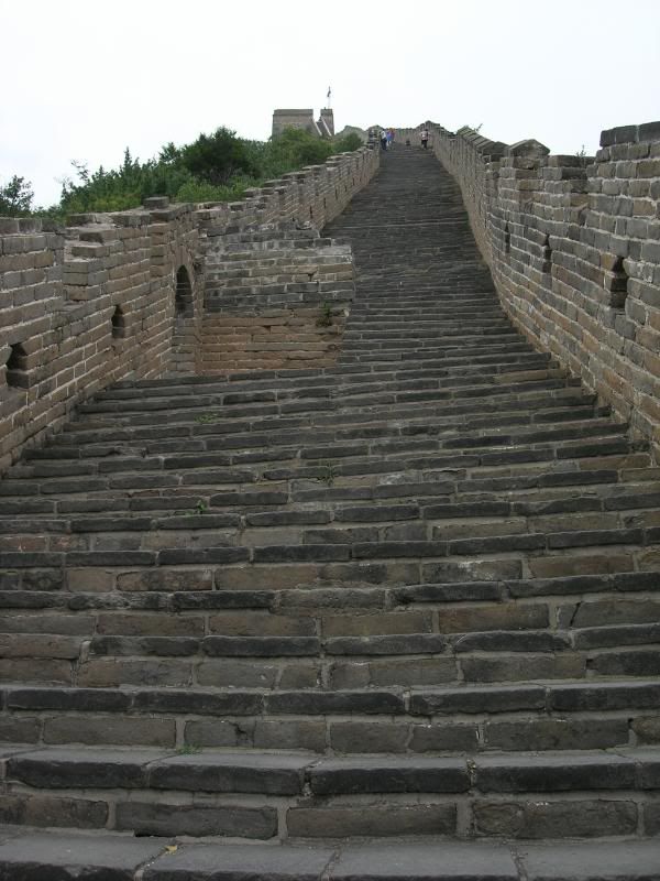 DSCN2528.jpg