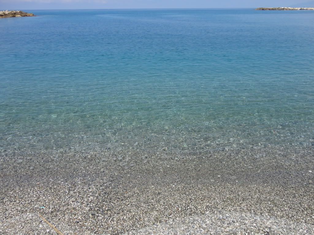 DSC00365.jpg