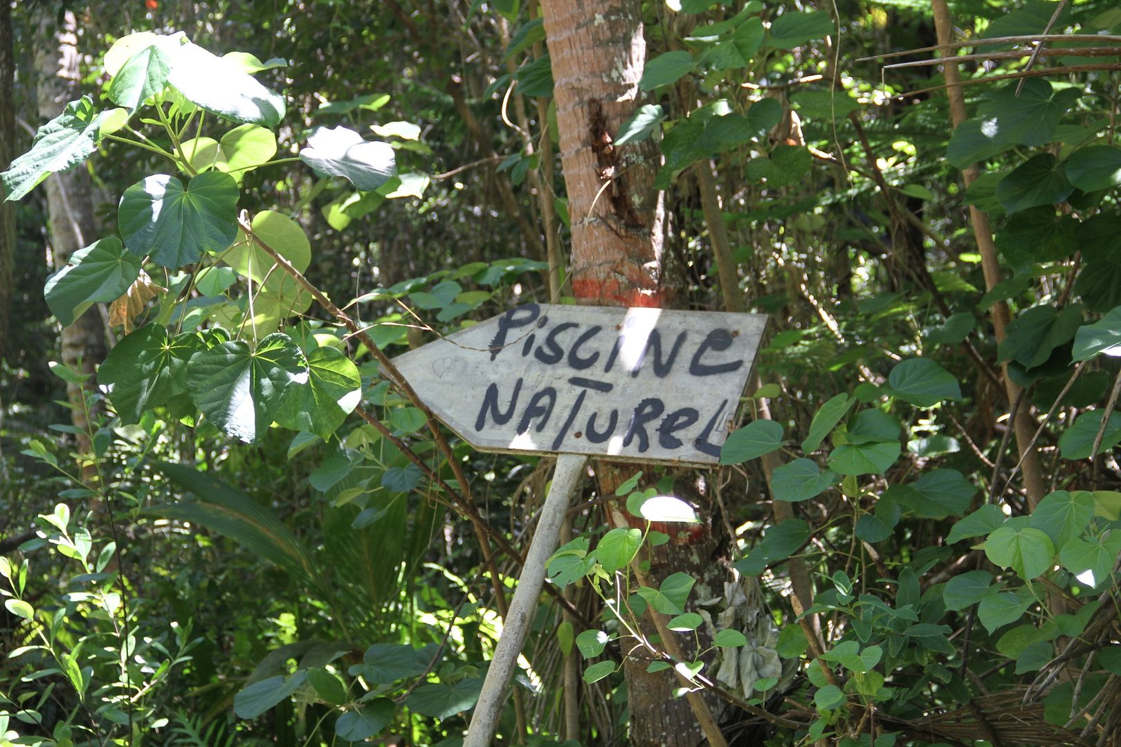 ILP24.jpg