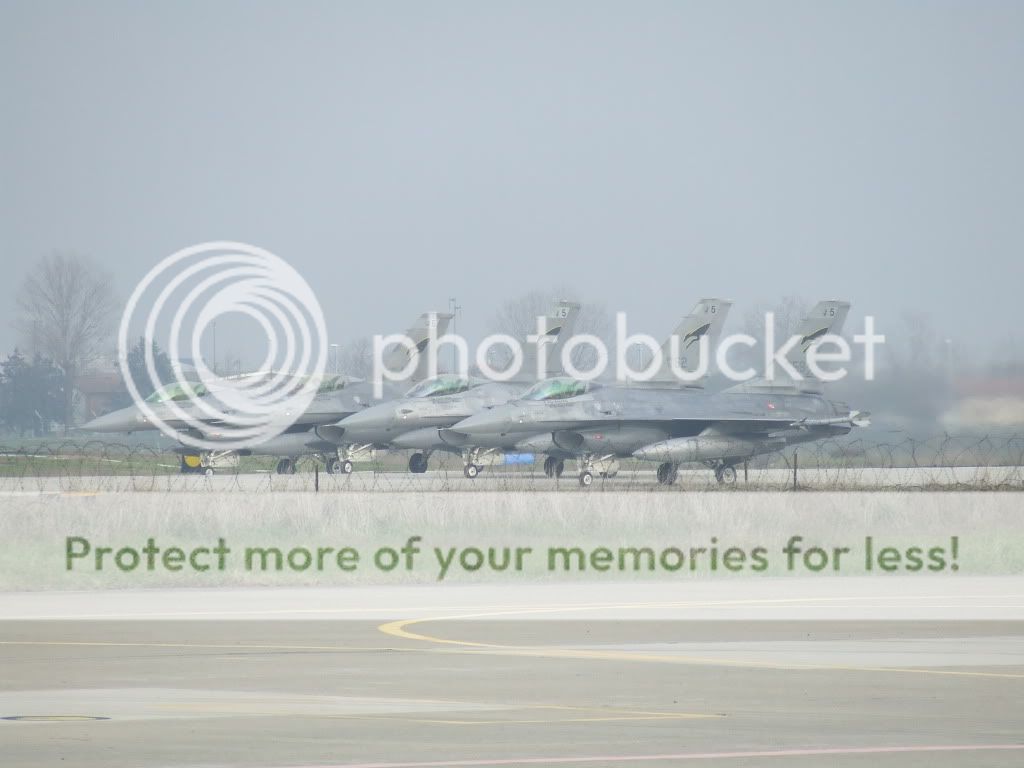 DSCF8785.jpg